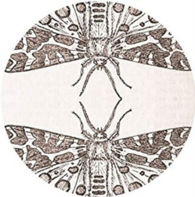 JUTE GYTE | SPARROW | 12IN VINYL