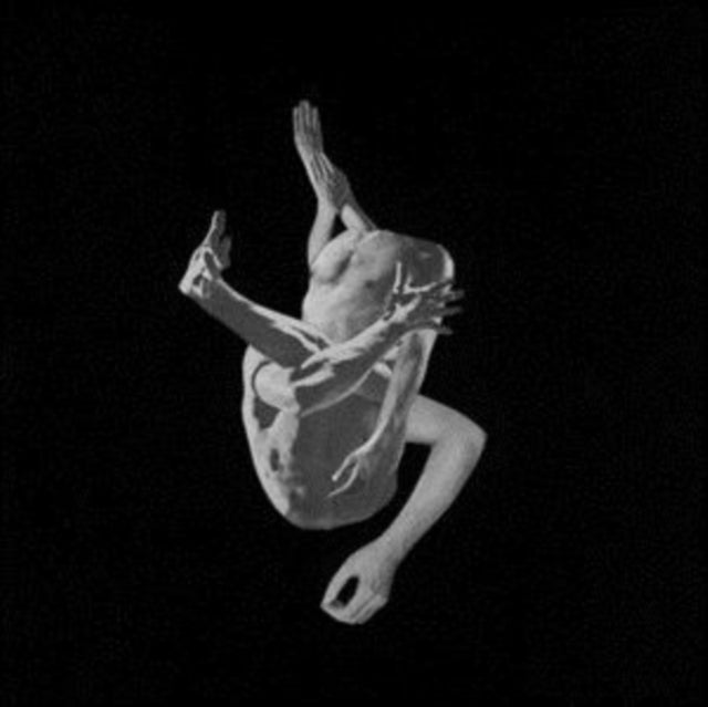 AUTUMNS | SUFFOCATING BROTHERS | VINYL RECORD (LP)