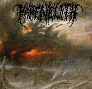 DESOLATE ENDSCAPE | VINYL RECORD (LP)