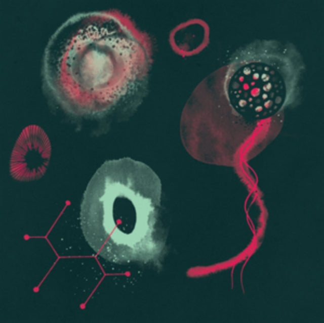 POLYPORES | IMPOSSIBILITY | VINYL RECORD (LP)