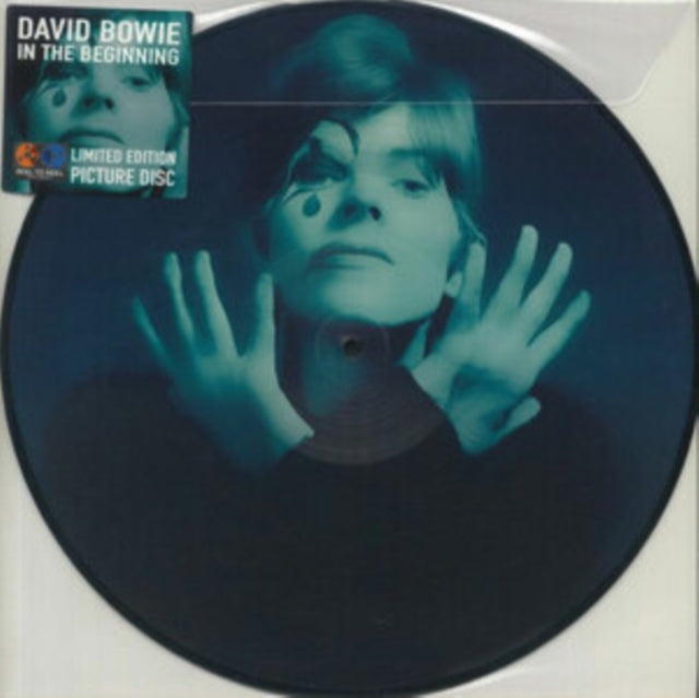BOWIE, DAVID | IN THE BEGINNING (PICTURE DISC) | VINYL RECORD (LP)