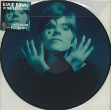 BOWIE, DAVID | IN THE BEGINNING (PICTURE DISC) | VINYL RECORD (LP)