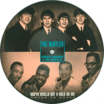 YOUVE REALLY GOT A HOLD ON ME (PICTURE DISC) | 7IN VINYL