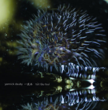 DAUBY, YANNICK | PENGHU EXPERIMENTAL SOUND STUDIO VOL.1 | VINYL RECORD (LP)