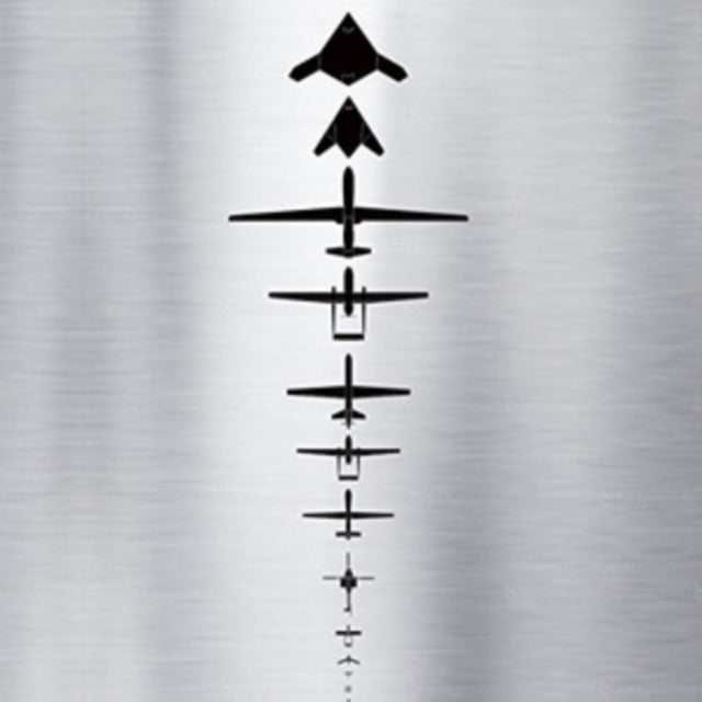 CARDOSO, GONCALO F | STUDY INTO 21ST CENTURY DRONE ACOUSTICS | VINYL RECORD (LP)