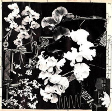 PHIZMIZ, ERGO | TWO QUARTETS | VINYL RECORD (LP)