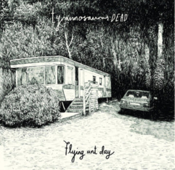 FLYING ANT DAY | VINYL RECORD (LP)