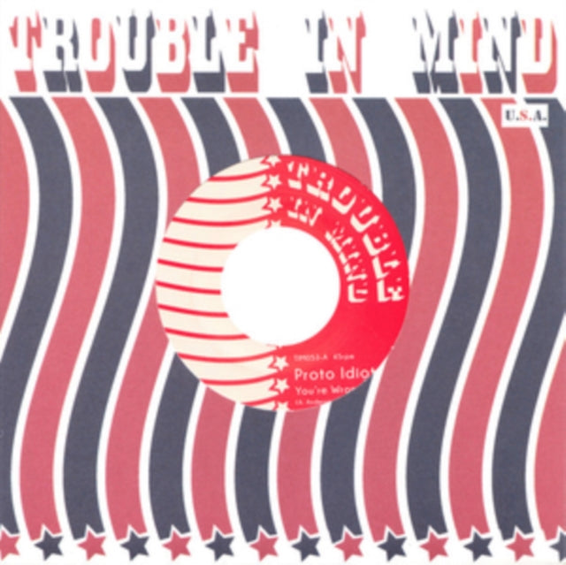 PROTO IDIOT | YOU'RE WRONG - YOU CAN'T HIDE | VINYL RECORD (LP)