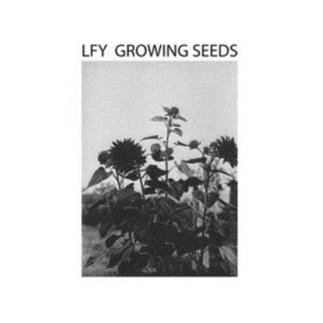 LUST FOR YOUTH | GROWING SEEDS | VINYL RECORD (LP)