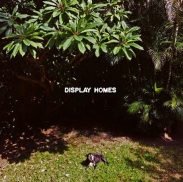 DISPLAY HOMES | CLIMATE CHANGE | VINYL RECORD (LP)