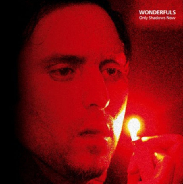 WONDERFULS | ONLY SHADOWS NOW | VINYL RECORD (LP)