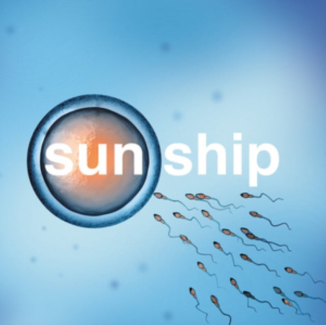 BRIAN JONESTOWN MASSACRE | SUN SHIP | 10IN VINYL