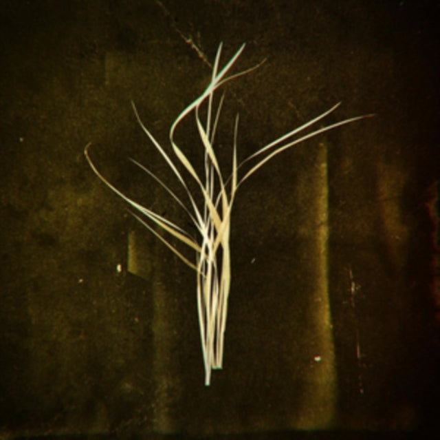 LUMISOKEA | MNEMOSYNE | VINYL RECORD (LP)