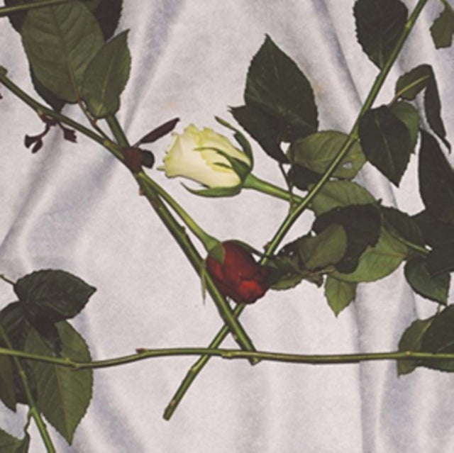 CHAIN OF FLOWERS | CHAIN OF FLOWERS | VINYL RECORD (LP)