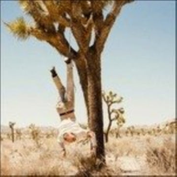 HOAX | VINYL RECORD (LP)