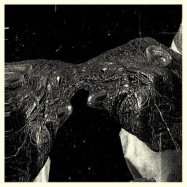 SECRET BOYFRIEND | MEMORY CARE UNIT | VINYL RECORD (LP)