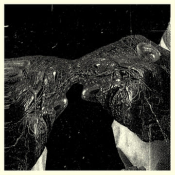 SECRET BOYFRIEND | MEMORY CARE UNIT | VINYL RECORD (LP)