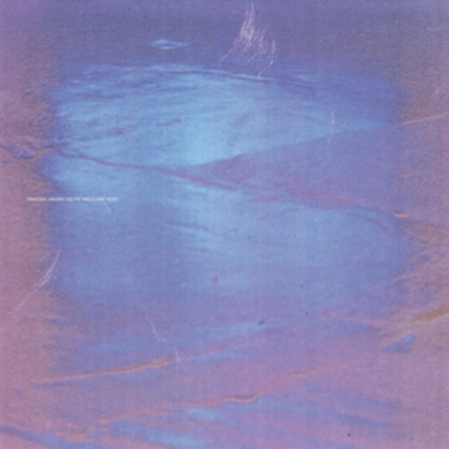 AMARA, VANESSA | YOU'RE WELCOME HERE | VINYL RECORD (LP)