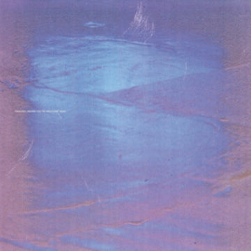 AMARA, VANESSA | YOU'RE WELCOME HERE | VINYL RECORD (LP)