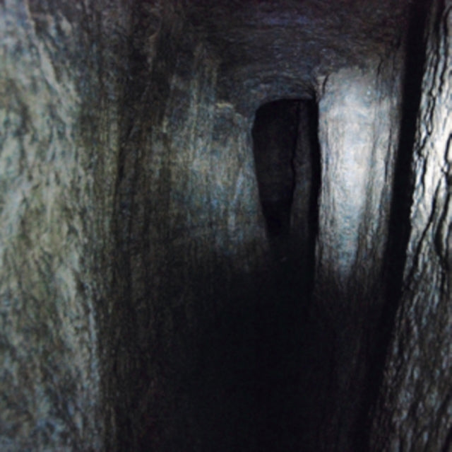 SALDANHA, JONATHAN U | TUNNEL VISION | VINYL RECORD (LP)
