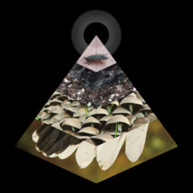 BELUS | APOPHENIA | VINYL RECORD (LP)