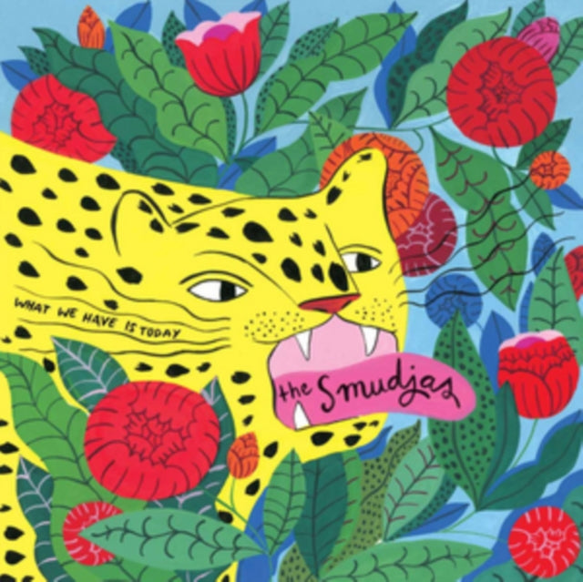 SMUDJAS | WHAT WE HAVE IS TODAY | VINYL RECORD (LP)