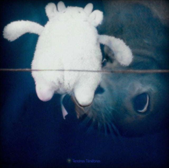 VARIOUS ARTISTS | TENDRES TENEBRES | VINYL RECORD (LP)