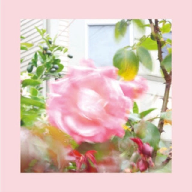 REDS, PINKS & PURPLES | SUMMER AT LAND'S END | VINYL RECORD (LP)