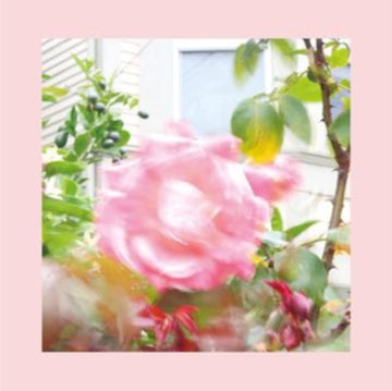 SUMMER AT LANDS END | VINYL RECORD (LP)
