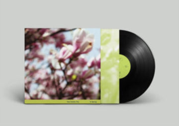 CLERKIN, TARA TRIO | IN SPRING | 12IN VINYL