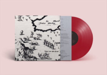 WHICH DIRECTION GOES THE BEAM | VINYL RECORD (LP)