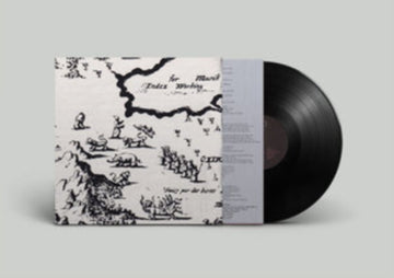 WHICH DIRECTION GOES THE BEAM | VINYL RECORD (LP)