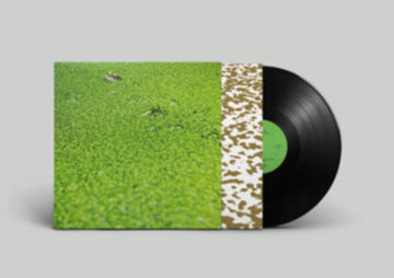DRIVING THROUGH BELGIUM | VINYL RECORD (LP)
