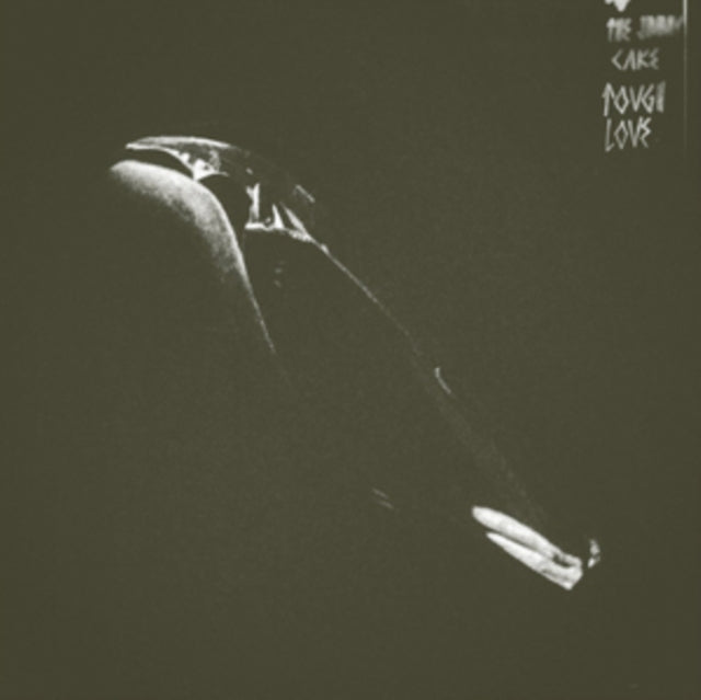 JIMMY CAKE | TOUGH LOVE | VINYL RECORD (LP)