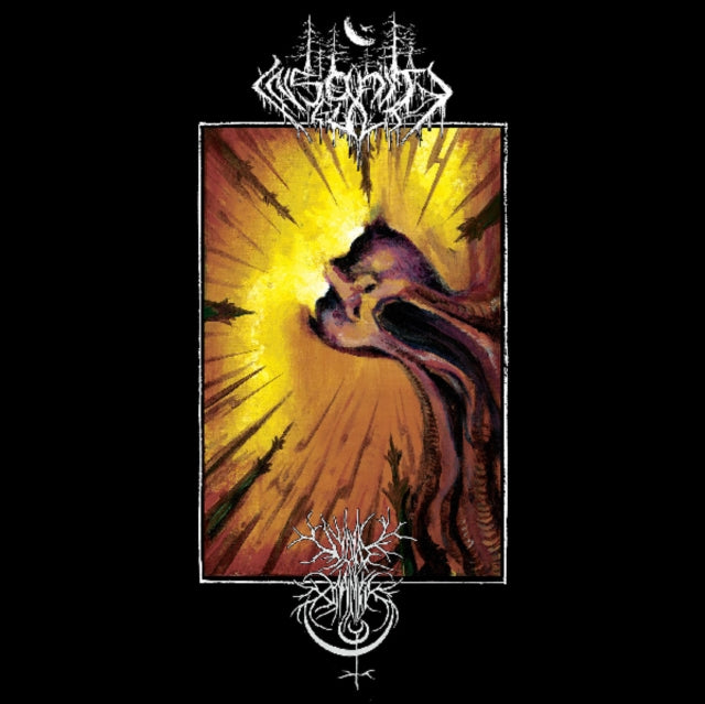 VOID OMNIA; INSANITY CULT | SPLIT | VINYL RECORD (LP)