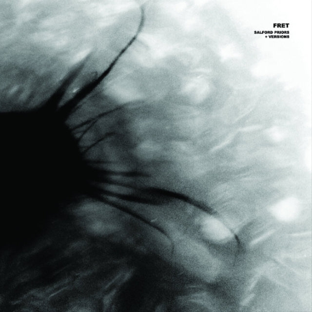 FRET | SALFORD PRIORS + VERSION | 12IN VINYL