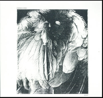 CRISCI, DOMENICO | VELVET | 12IN VINYL