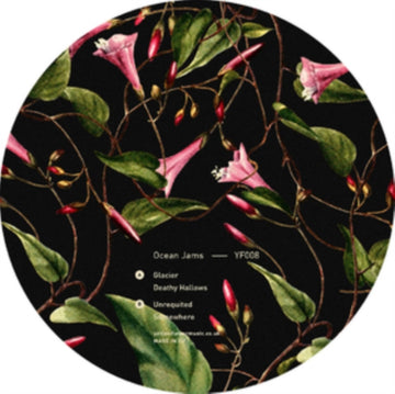GLACIER | 7IN VINYL