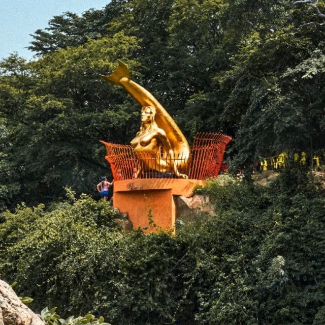 FOFANA, LAMIN | BRANCUSI SCULPTING BEYONCE | VINYL RECORD (LP)