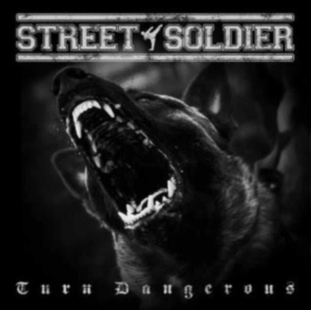 STREET SOLDIER | TURN DANGEROUS | CD