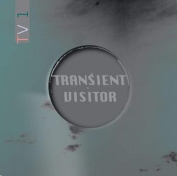 TRANSIENT VISITOR | TV1 | VINYL RECORD (LP)