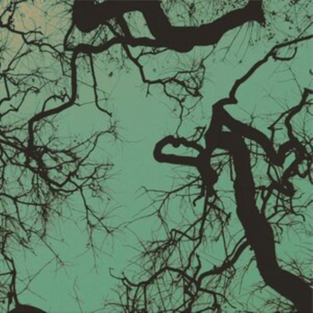 FOLLAKZOID | FOLLAKZOID | VINYL RECORD (LP)