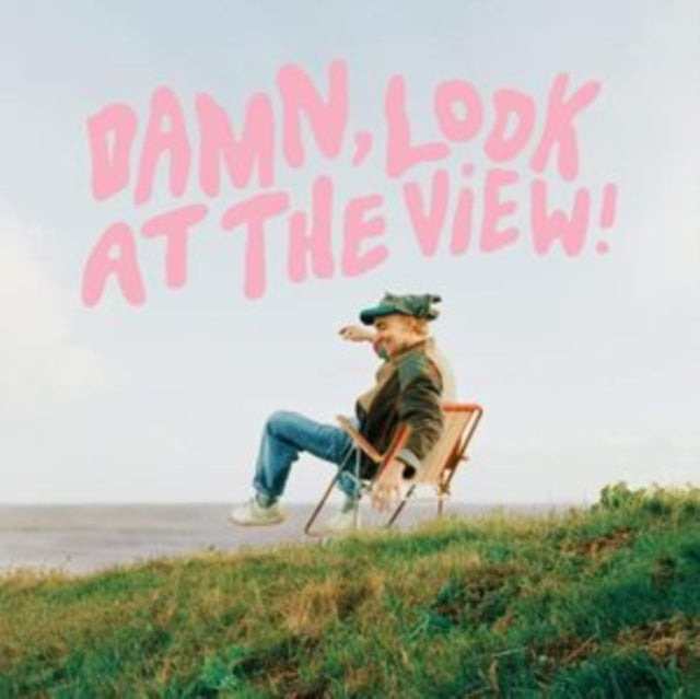 BROWN, MARTIN LUKE | DAMN, LOOK AT THE VIEW | VINYL RECORD (LP)