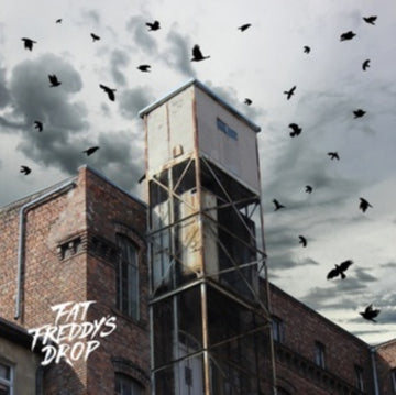 FAT FREDDY'S DROP | BLACKBIRD RETURNS  (2LP) | VINYL RECORD (LP)