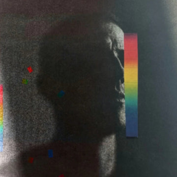 IN LIGHT | VINYL RECORD (LP)