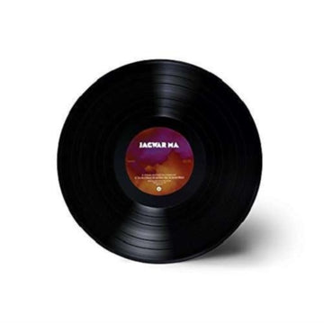 EVERY NOW & ZEN | VINYL RECORD (LP)