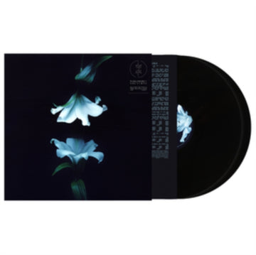 NOCTURNE (2LP) | VINYL RECORD (LP)
