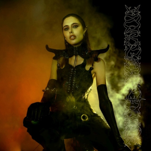 PTWIGGS | DARKENING OF LIGHT | VINYL RECORD (LP)