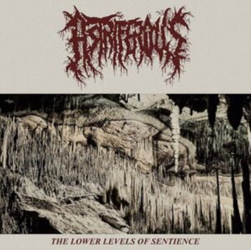 LOWER LEVELS OF SENTIENCE | 12IN VINYL