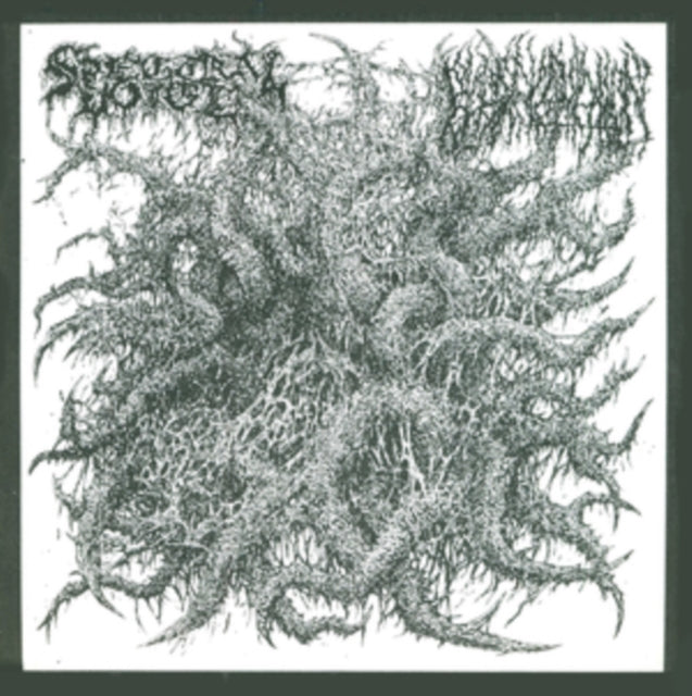 SPECTRAL VOICE / BLOOD IN | SPLIT | 12IN VINYL